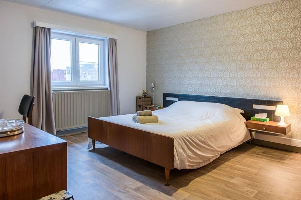 Vakantiewoning In Mol Centrum Met Eigen Bar "Casacuriosa" Exteriér fotografie