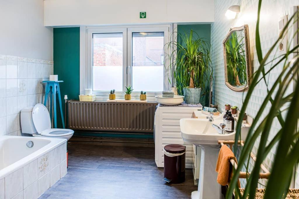 Vakantiewoning In Mol Centrum Met Eigen Bar "Casacuriosa" Exteriér fotografie